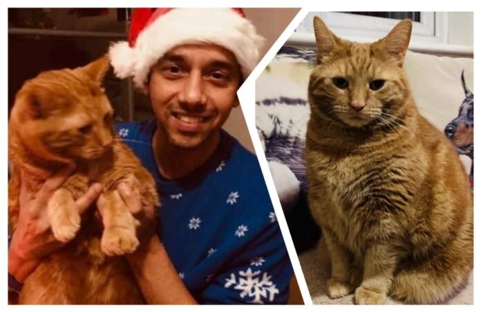 अवांतर, मराठीकथा, मराठीलेखन, मराठीआवृत्ती, मराठीसाहित्य, मराठीलेखक, मराठीमनोरंजन, मराठीवेबसाइट, मराठीआर्टिकल, मराठीस्टोरी, लिओ, पल्लवी, जेम्सबोवेन