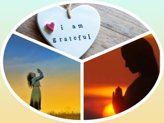 अवांतर, मराठीकथा, मराठीलेखक, मराठीसाहित्य, मराठीआर्टिकल, Feelings, अबोल, कृतज्ञता, अबोल कृतज्ञता, Gratitude